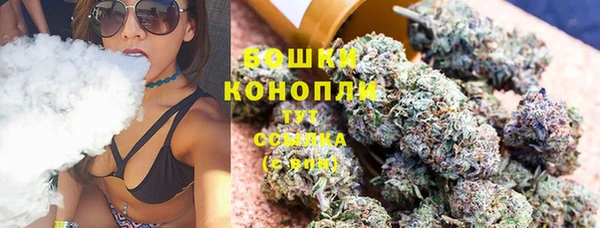 стаф Белокуриха