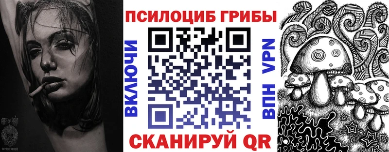 Купить  Юхнов  Псилоцибиновые грибы Psilocybe 